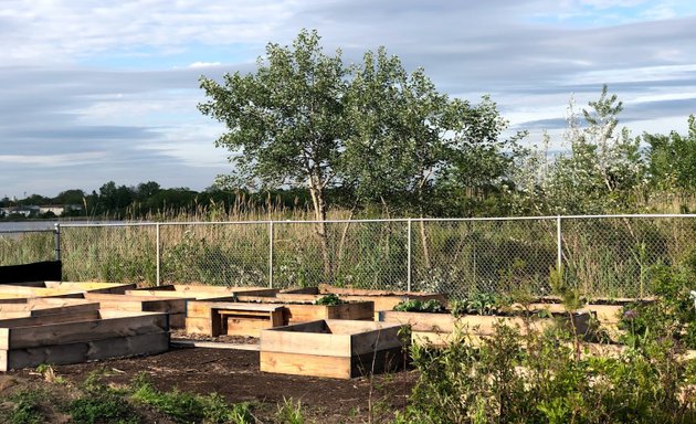 Photo of Edgemere Coalition Community Garden