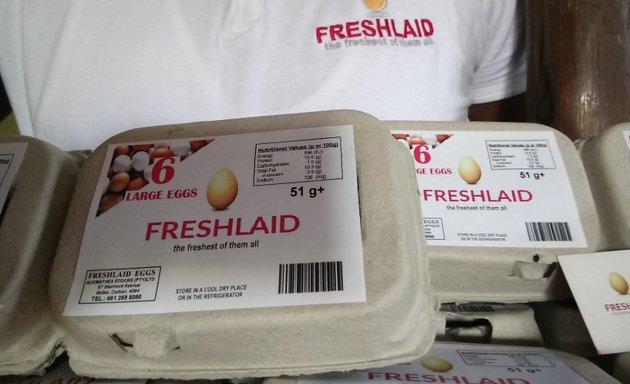 Photo of Freshlaid Eggs