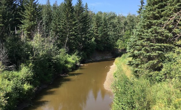 Photo of Whitemud Creek Ravine