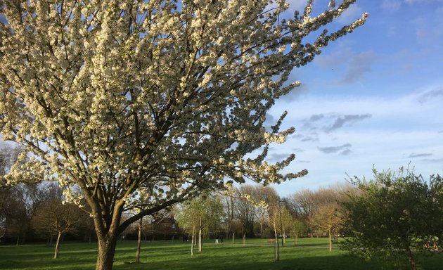 Photo of Millfields Park