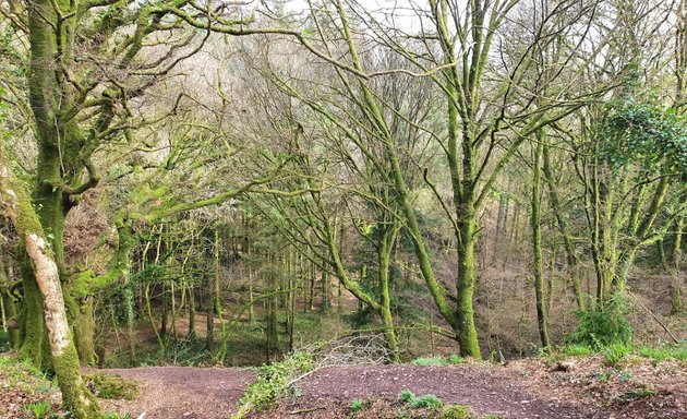 Photo of Garryduff Woods Forest Recreational Area