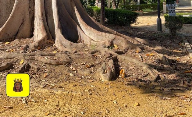 Foto de Parque de María Luisa