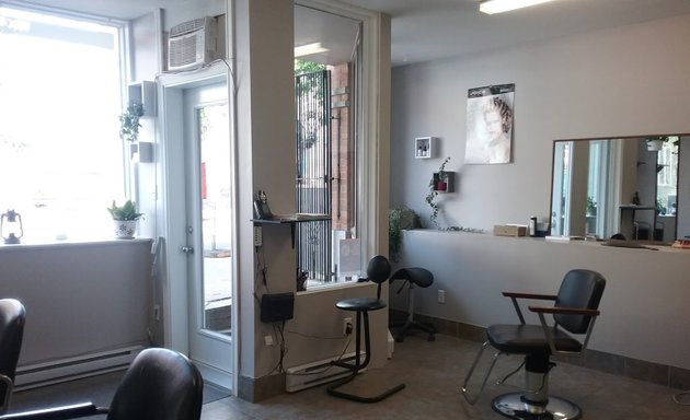 Photo of Motus Coiffure