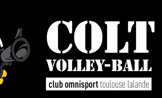 Photo de COLT, Club Volley Ball Toulouse Lalande