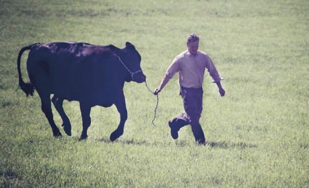 Foto von German Wagyu Campus GmbH & Co. KG