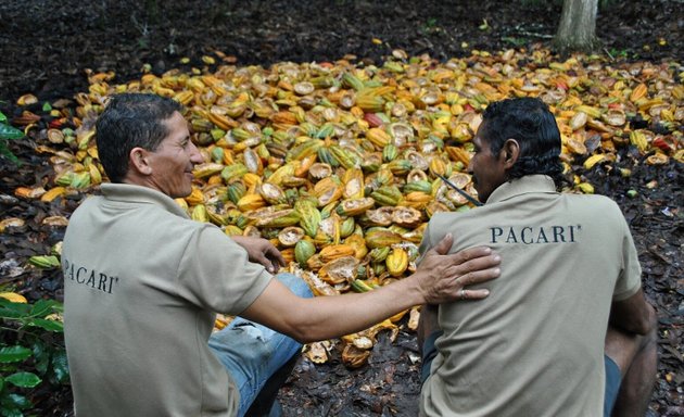 Foto von Premifair GmbH