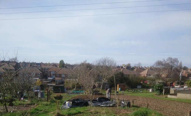 Photo of Castle Hill Allotments