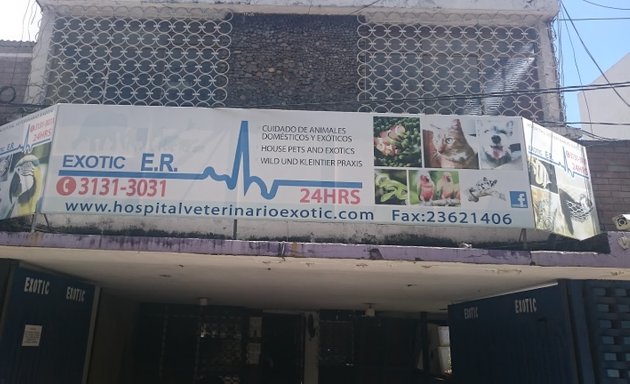 Foto de Hospital Veterinario Exotic
