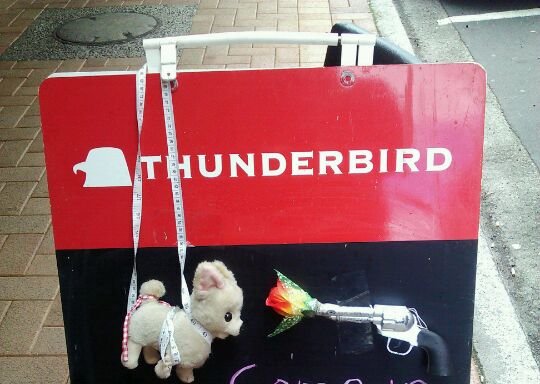 Photo of Thunderbird Cafe