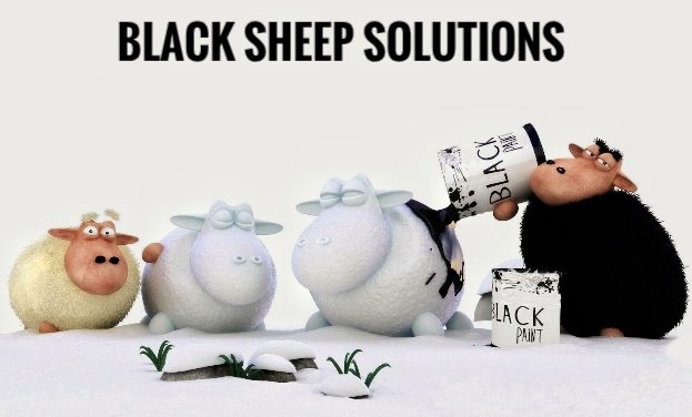 Photo of Black Sheep Solutions