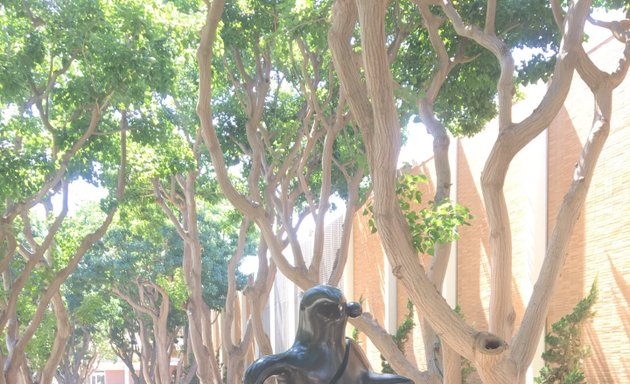 Photo of Franklin D. Murphy Sculpture Garden