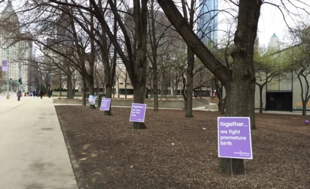 Photo of March of Dimes Chicago