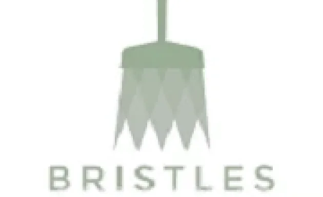 Photo of Bristles Environmental Solutions