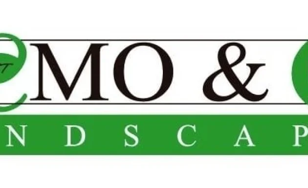 Photo of Memo & Co. Landscapes