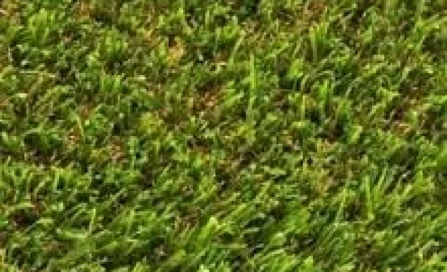 Photo of Artificial Turf Wholesalers