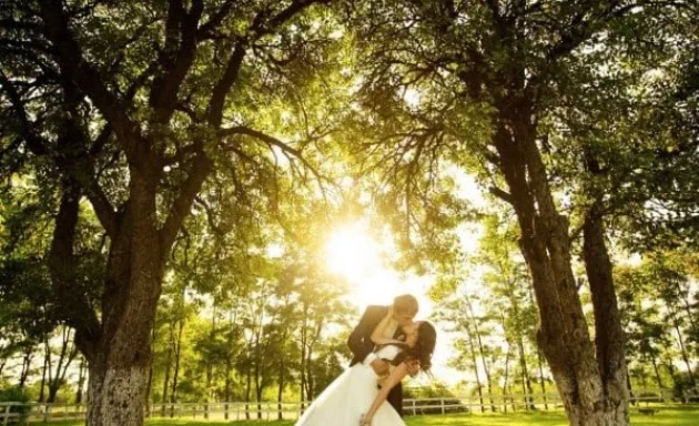 Photo of Love Is Wedding Videography and Photography