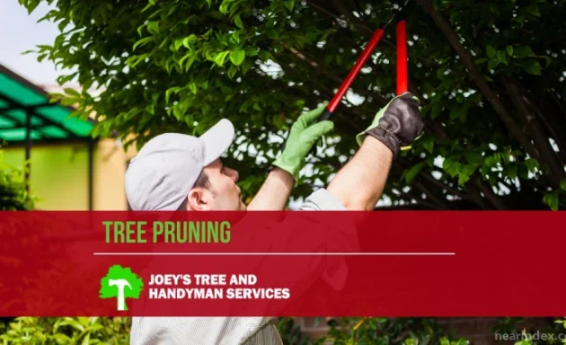 Photo of Joey's Tree Service