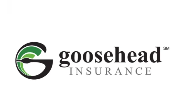 Photo of Goosehead Insurance - Tresia McDermott