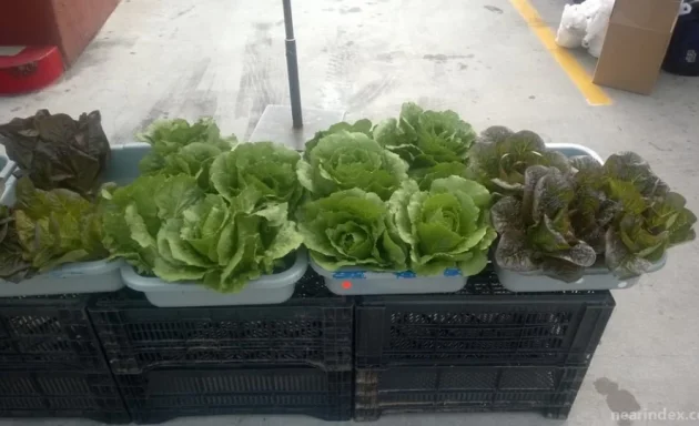 Photo of Pacific Beach Certified Farmers' Market