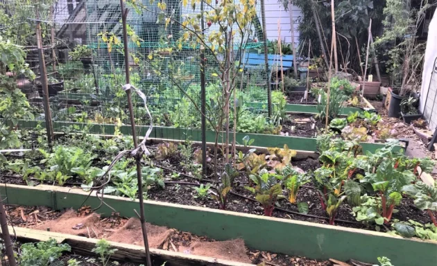 Photo of The Free Farm Stand